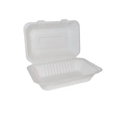 Bagasse Clamshell Large Box 9x6 (22.9x15.2cm)